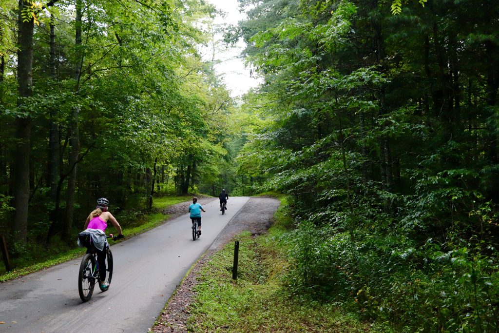 Bikers enjoy the popular Cades Cove Loop Road. On Wednesdays in the summer (this year June 18 to September 24), cars are not allowed so as to give cyclists and pedestrians a more pleasant experience. Photo by Carter Rutledge.