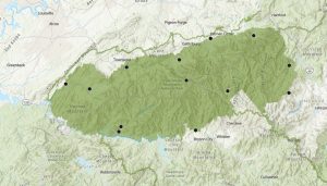 In Great Smoky Mountains National Park, samples taken from 13 sites on 25 different occasions have contributed to the Dragonfly Mercury Project dataset. Image courtesy of the National Park Service and US Geological Survey.