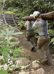 Crew members carry locust logs during the three-year rehabilitation of Ramsey Cascades Trail. Mules delivered logs along the lower portion of the trail, while helicopters dropped hundreds at pick-up sites on the upper portion. Photo courtesy of National Park Service. 