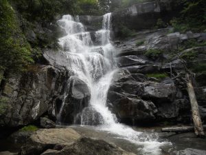 At 105 feet, Ramsey Cascades is the tallest waterfall in Great Smoky Mountains National Park. Photo by Andrea Walton. 