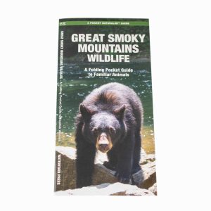 Great Smoky Mountains Wildlife: A Folding Pocket Guide to Familiar Animals