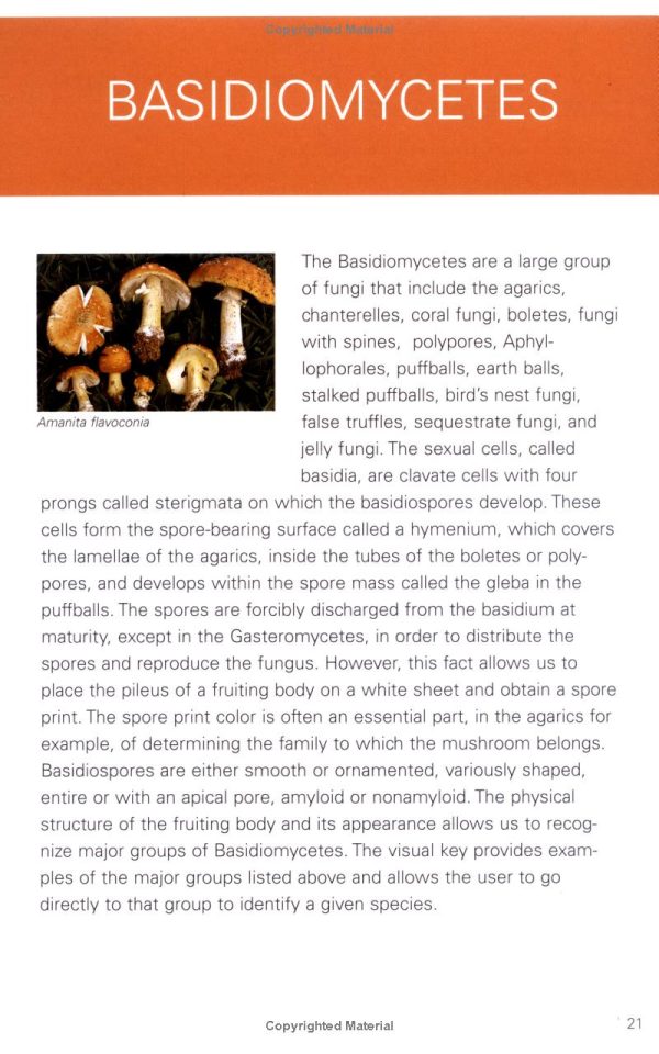 North American Mushrooms: A Field Guide To Edible And Inedible Fungi - Image 3