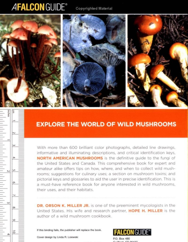 North American Mushrooms: A Field Guide To Edible And Inedible Fungi - Image 4