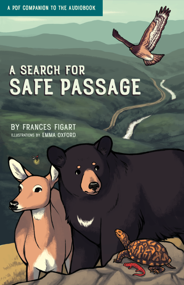 A Search for Safe Passage book cover