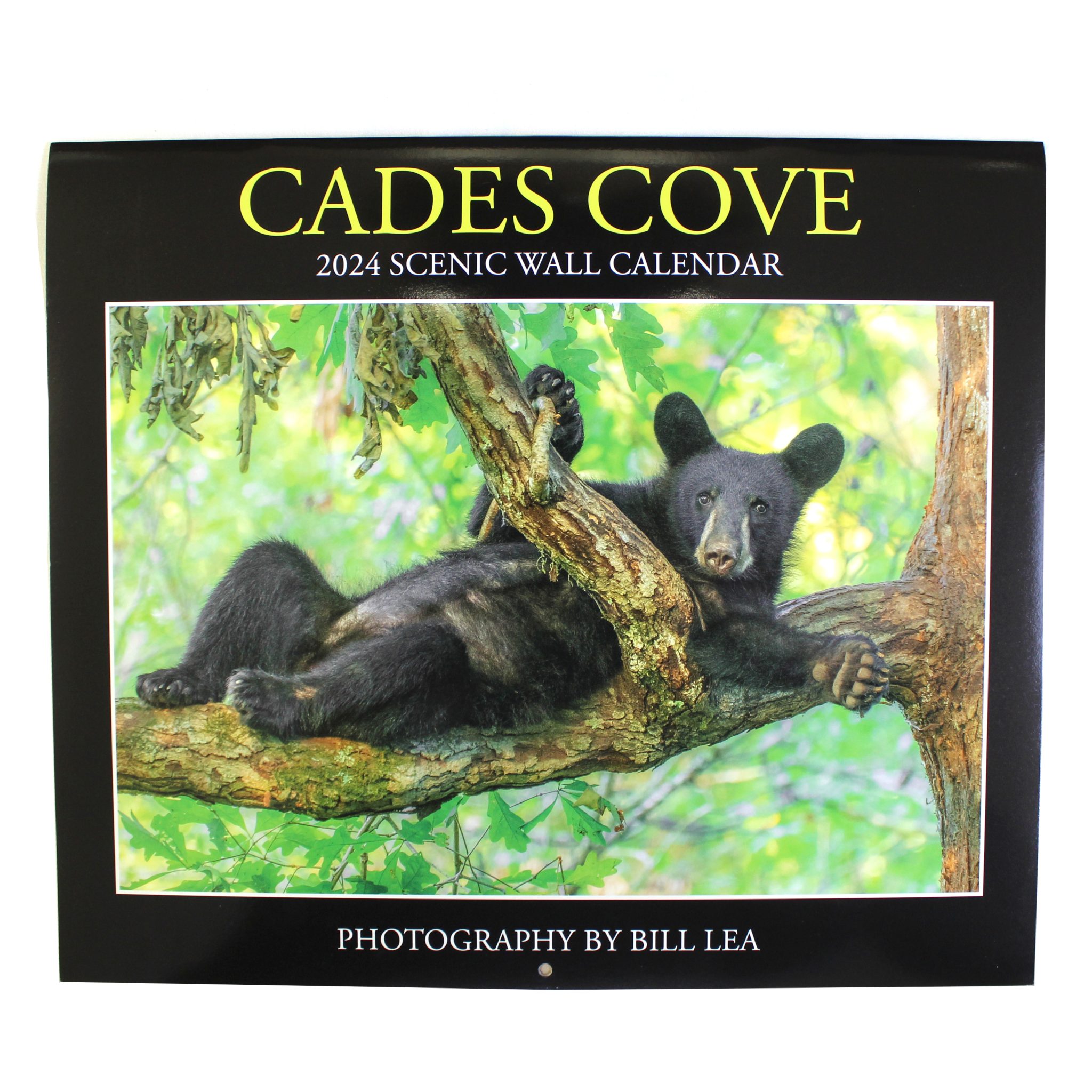 Smokies Life 2025 Cades Cove Calendar