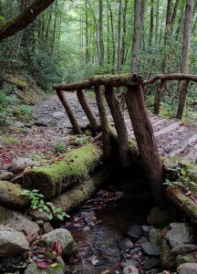 Encountering this moss-lined bridge in late September, both Sue and her sister envisioned a troll living somewhere beneath it.