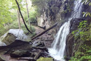 Baskin Creek Falls. Photo by Sue Wasserman.