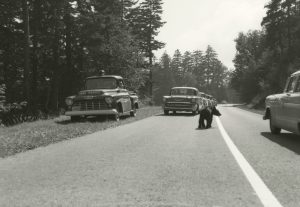 Bear jams have been a feature of Great Smoky Mountains National Park since the very beginning. Thankfully, visitors and park staff have adopted better management practices over the years, and feeding or approaching black bears is now prohibited by federal law. Photo courtesy GSMNP Archives.
