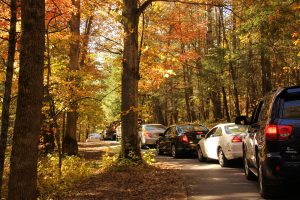 A single stoppage on the one-way Cades Cove Loop Road can cause major delays. Photo by Warren Bielenberg.