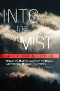 Into The Mist
