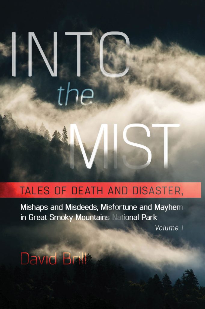 Into The Mist