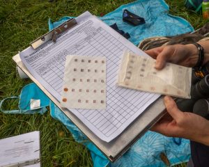 The adhesive tags used to track monarch butterflies are roughly the size of an eraser tip and made of mylar, making them extremely lightweight. While GSMIT’s tagging program in Great Smoky Mountains National Park requires the authorization of a special research permit, anyone can acquire a tagging kit and get involved outside of the national park by visiting MonarchWatch.org. Photo by David Bryant, provided by GSMIT.