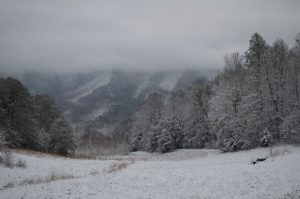 Winter in Cades Cove. Photo by Bruce Day.