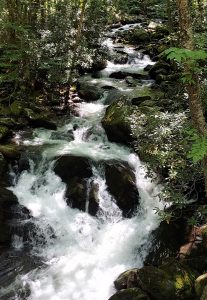 The Little River