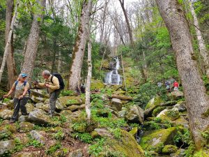 Hikers explore Fern Branch Falls during last year’s Great Smokies Eco-Adventure, an annual three-day, two-night event hosted by Great Smoky Mountains National Park partner Discover Life in America (DLiA). Photo by Will Kuhn.