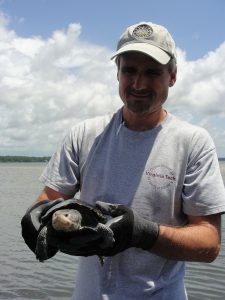 Steve Goodman, conservation biologist with National Parks Conservation Association, holds a diamondback terrapin as part of a volunteer survey project in the Florida Panhandle. Provided by Kelly Jones.