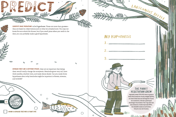 Junior Ranger Activity Guide - Image 4