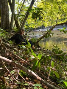Although Great Smoky Mountains Association has previously hosted nature journaling workshops and guided hikes in the Smokies as part of its annual members weekend event, the 2023 Tremont Writers Conference is the first full-fledged writers conference to be held within Great Smoky Mountains National Park. Provided by Great Smoky Mountains Association.