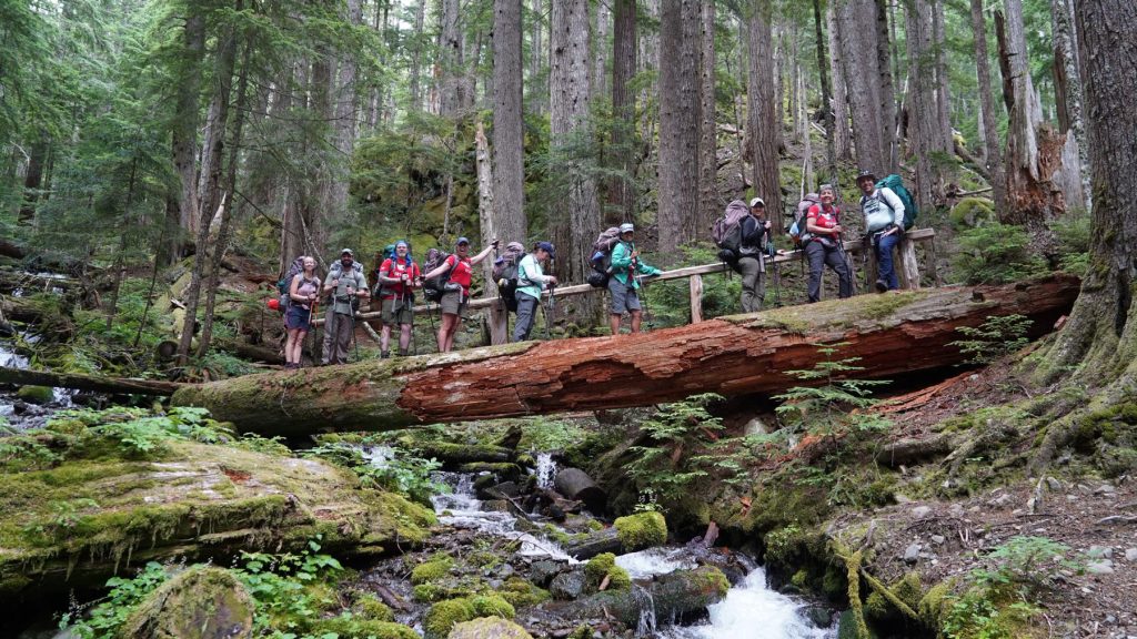 Since 2016, National Parks Conservation Association has worked to provide advocacy opportunities for veterans, service members, and their families by connecting them to park protection campaigns. The nonprofit seeks meaningful opportunities to educate veterans on the issues facing parks such as Olympic National Park where this group is hiking. Courtesy of Jimi Shaughnessy, National Parks Conservation Association.