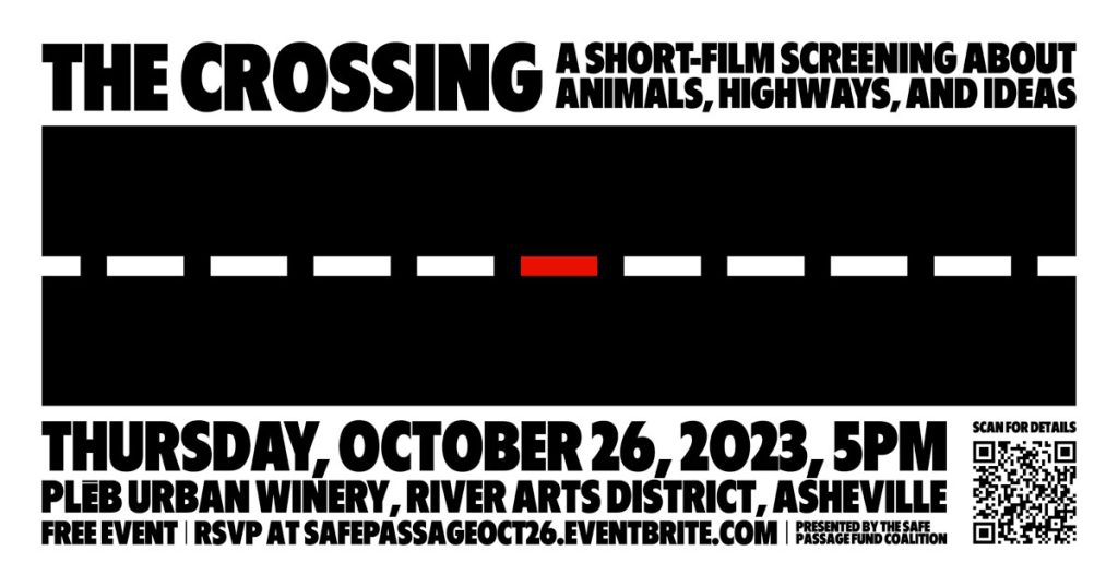 On Thursday, October 26, the Safe Passage Fund Coalition will host a free film screening at Asheville’s Pléb Urban Winery presenting the short documentaries Cascade Crossroads and Critter Crossings in the Cascades. Members of the Safe Passage group dedicated to improving wildlife-crossing opportunities along I-40 in the Pigeon River Gorge hope to draw lessons and inspiration from the films following the progress of similar efforts in Washington’s Cascade Range.
