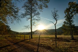 During his 2023 Steve Kemp Writers Residency, Brian Railsback would walk Cades Cove campground at dusk. Provided by Joye Ardyn Durham. 