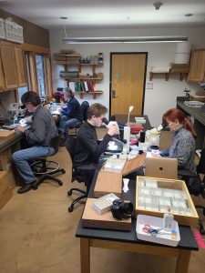 Fly specialists peer through microscopes as they work to identify some of the thousands of fly specimens stored at the Twin Creeks Science and Education Center in Great Smoky Mountains National Park. Photo provided by DLiA.