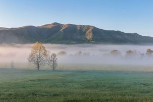 The community of Chestnut Flats was once located on the southwest edge of Cades Cove. It was established by the Burchfield and Powell families soon after the Civil War and became a notorious haven for illegal distilling operations. Photo by Reggie Tidwell.