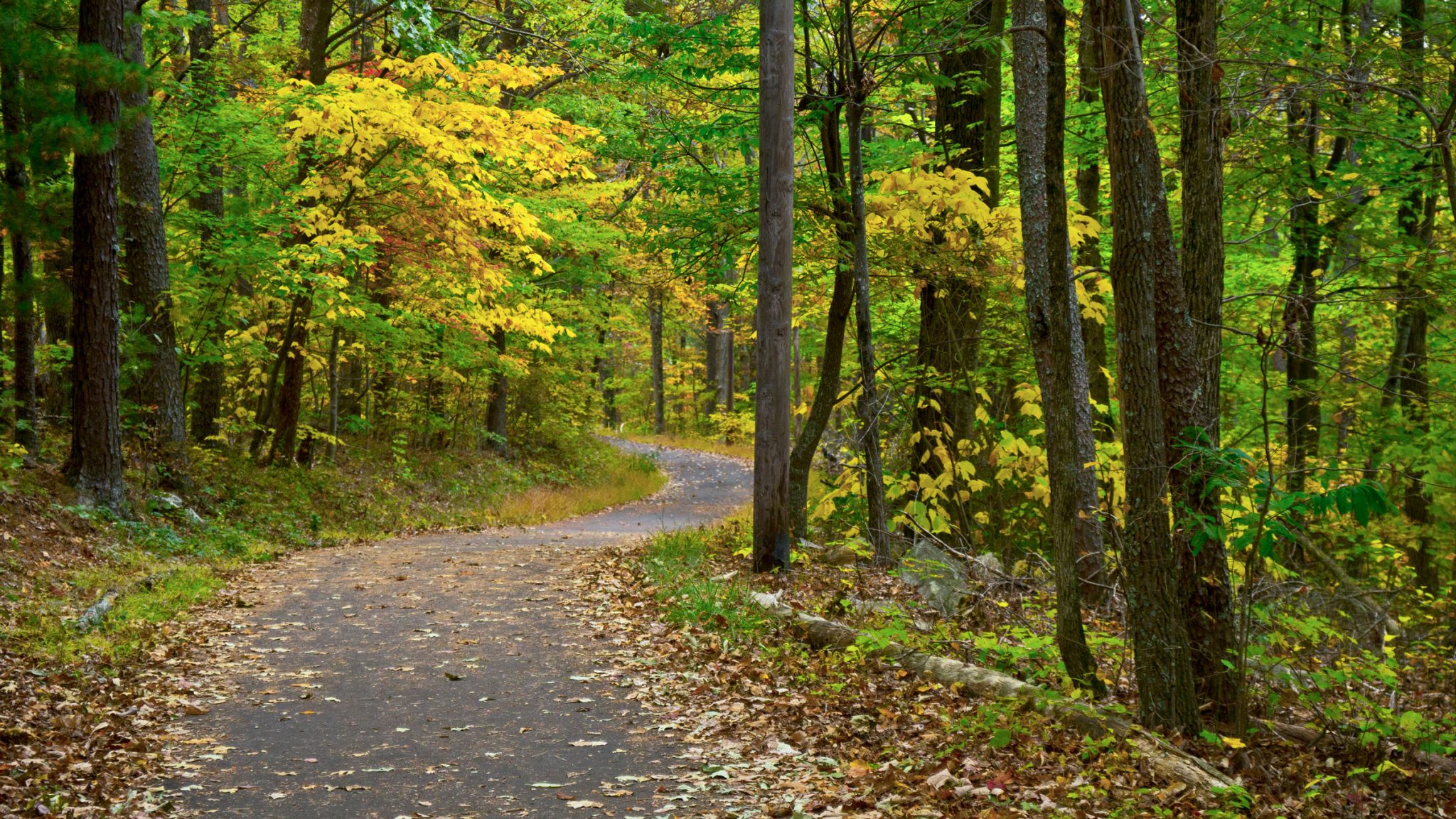 Look Rock offers grand views of a modernizing national park