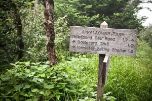 For nearly 72 miles, the 2,197.4-mile Appalachian Trail winds along the ridgelines of Great Smoky Mountains National Park. Photo provided by Justin Meissen via Flickr.