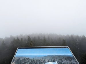 Thick fog obscured the view from Clingmans Dome. Photo provided by Holly Kays.