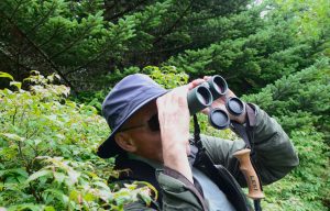 Michael Tenbus, a Smokies Life Park Keeper, searches for birds in the forest surrounding the Appalachian Trail. Photo provided by Holly Kays, Smokies Life.