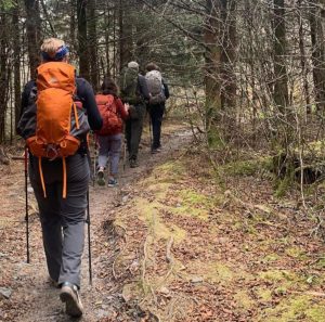 Hikers enjoy a fall excursion on the Appalachian Trail. AT thru-hikers and section hikers are currently one of the largest user groups for shuttle services within the park. Photo provided by A Walk in the Woods Guide Service. 