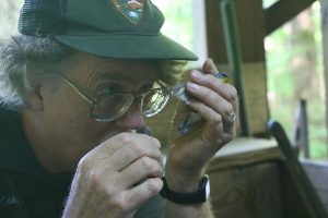 Smokies Science Coordinator Paul Super examines a recently captured northern parula, a type of warbler. Every bird retrieved from a mist net is observed for a variety of metrics that are recorded in a data sheet maintained as part of the continent-wide Monitoring Avian Productivity and Survivorship program, called MAPS. Photo provided by Erin Rosolina, Great Smoky Mountains Institute at Tremont.