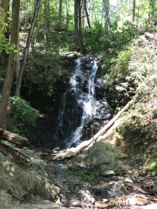 Cataract Falls can be found off the Fighting Creek Nature Trail. The trail begins behind the Sugarlands Visitor Center. Take a right at the fork to see the falls. Photo by Andrea Walton/Flickr.