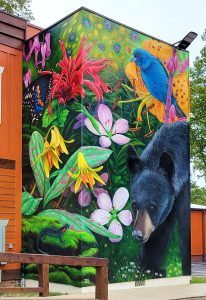 The 410-square-foot space displays such iconic wildlife species as the black bear, red-cheeked salamander, indigo bunting, and pipevine swallowtail butterfly, as well as an array of native plants—trout lily, scarlet beebalm, spring beauty. 