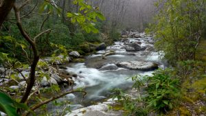 Visitors to Great Smoky Mountains National Park enjoy the rushing waters that give the Big Creek area its peaceful nature, but extreme rains associated with Hurricane Helene swelled the creek to dangerous levels. The area is now closed until further notice. Photo by Valerie Polk, provided by Smokies Life.