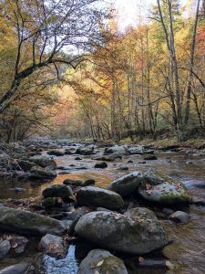 This spot along the Middle Prong of the Little River, which runs through Tremont’s campus, greeted me for a peaceful time of reflection each morning during the Tremont Writers Conference. Photo provided by Holly Kays. 