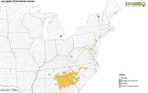 Since arriving in the Atlanta area in 2013, the joro spider has been confirmed in nine US states and is expected to eventually spread throughout the country. Map provided by The University of Georgia–Center for Invasive Species and Ecosystem Health, eddmaps.org.