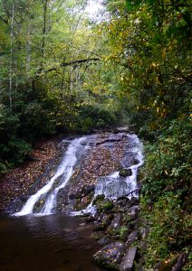 A smattering of newly fallen leaves surrounds the water cascading from Indian Creek Falls. Photo by Holly Kays, courtesy of Smokies Life. 