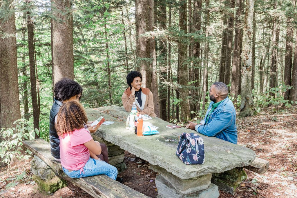 Balsam Mountain picnic area