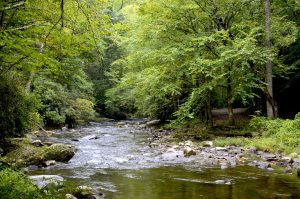 Deep Creek Trail