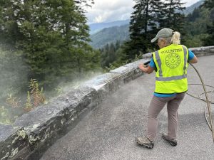 A Save Our Smokies volunteer removes graffiti from an overlook in Great Smoky Mountains National Park. Photo courtesy of Save Our Smokies.