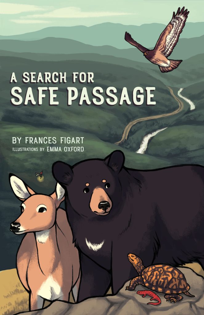 A Search for Safe Passage book cover