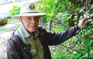 Ever since he got “bitten” by the hiking bug 43 years ago, Knoxville native Tom Harrington has spent as much time as possible on Smokies trails, usually looking for wildflowers. Photo by Holly Kays, courtesy of Smokies Life.