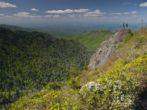 Accessed from Newfound Gap via the Appalachian Trail, Charlies Bunion is a popular day hiking destination. Photo courtesy of Smokies Life archives.