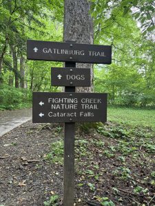 During their Kemp Residency, Jim and Leslie Costa will be working on an insect natural history field guide, to be published by Smokies Life. They'll spend time looking for insects and insect signs along park trails such as the Fighting Creek Trail at Sugarlands. Photo courtesy of Jim and Leslie Costa.