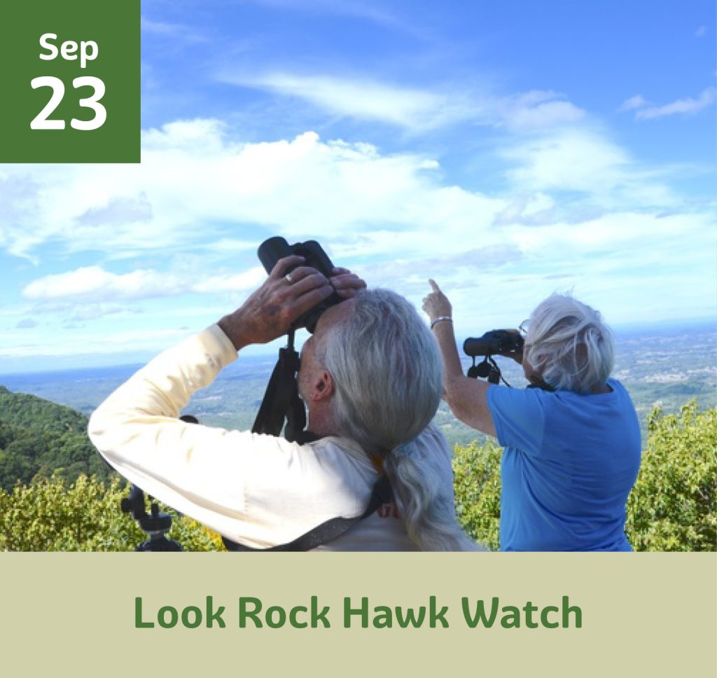 September 3 Look Rock Hawk Watch