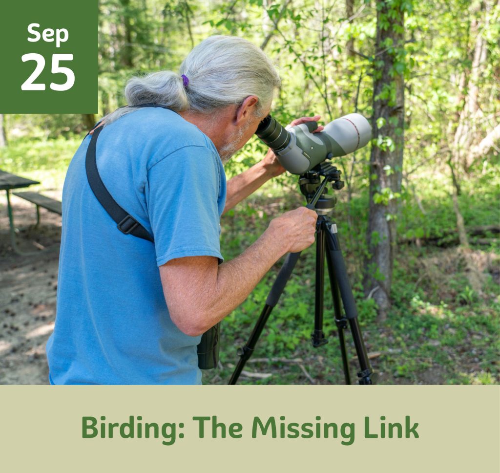 September 25 Birding: The Missing Link