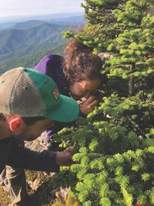 Two researchers, James Lendemer (front) and Laura Boggess, survey for high-elevation lichens in the park, which has become a destination for many scientists who find fertile ground for diverse types of studies. Photo by Ben Nelson.