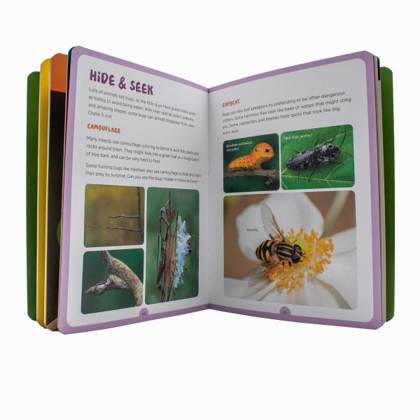 Bug Hunt - Image 3